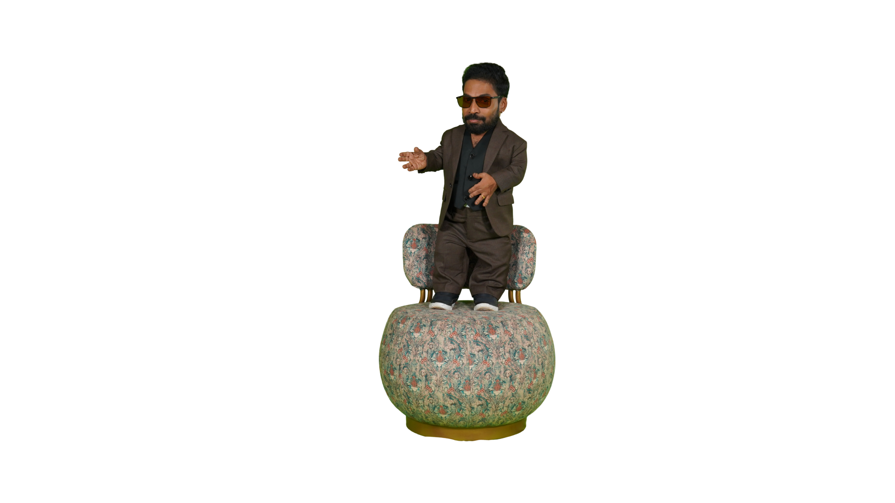 Ajay Kumar with Meubel floral accent chair